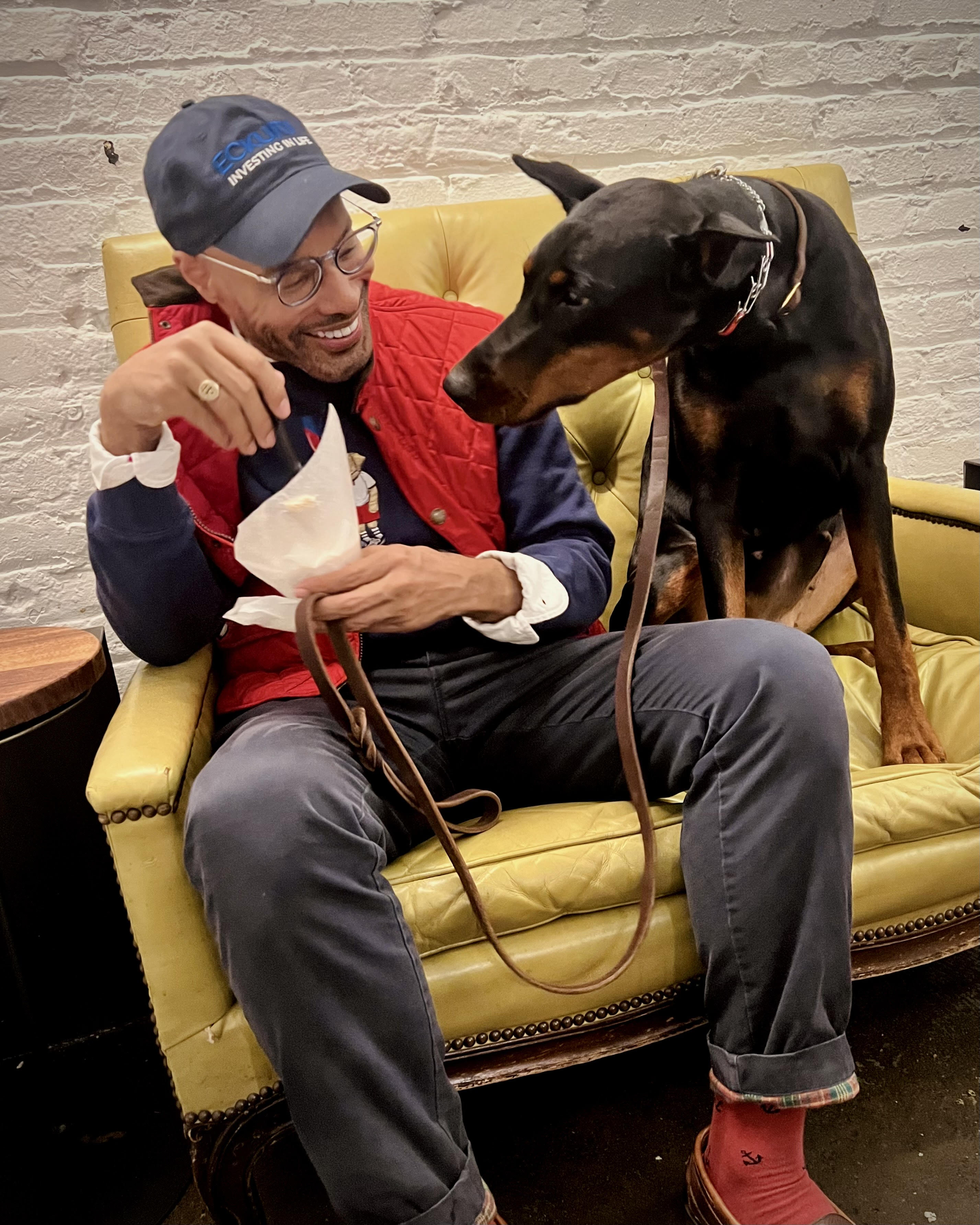 Doberman Pinscher photo